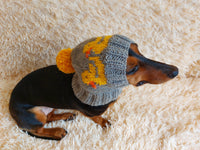 Duck clothes hat for dachshund or small dog