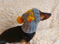 Duck clothes hat for dachshund or small dog