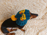 Duck clothes hat for dachshund or small dog