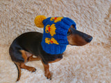 Duck clothes hat for dachshund or small dog