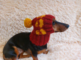 Duck clothes hat for dachshund or small dog