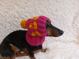 Duck clothes hat for dachshund or small dog