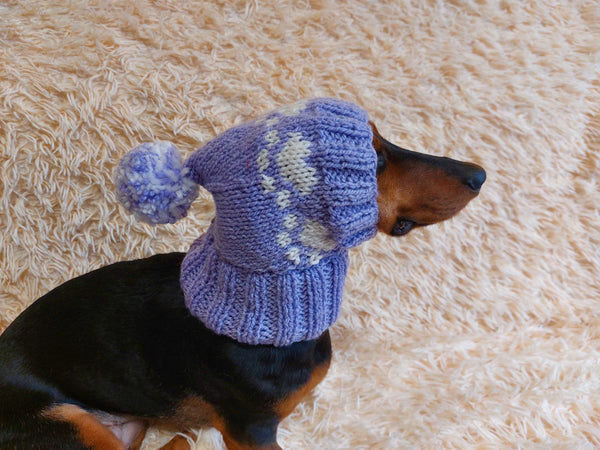 Paws clothes hat for dachshund or small dog,hat print paws with pom pom for dog,clothes with paws for dogs