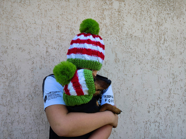 Matching Christmas Dog and Owner Beanie Set: Wool Blend Pom-Pom Hats