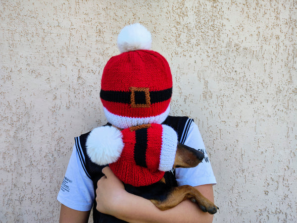 Matching Santa Dog and Owner Beanie Set