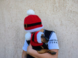 Matching Santa Dog and Owner Beanie Set