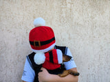 Matching Santa Dog and Owner Beanie Set