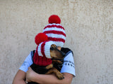 Matching Christmas Striped Dog and Owner Beanie Set: Wool Blend Knit