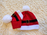 Matching Santa Dog and Owner Beanie Set