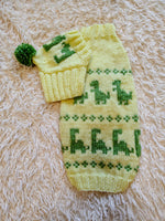 Dinosaur Costume for Dog Jumper and Pompom Hat Set