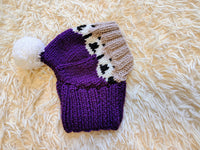 10 color Rainbow dog hat with sheep and pompom