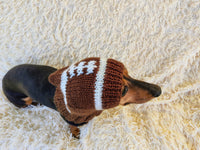 Football hat for dog