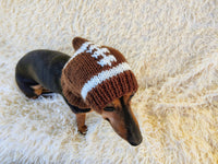 Football hat for dog