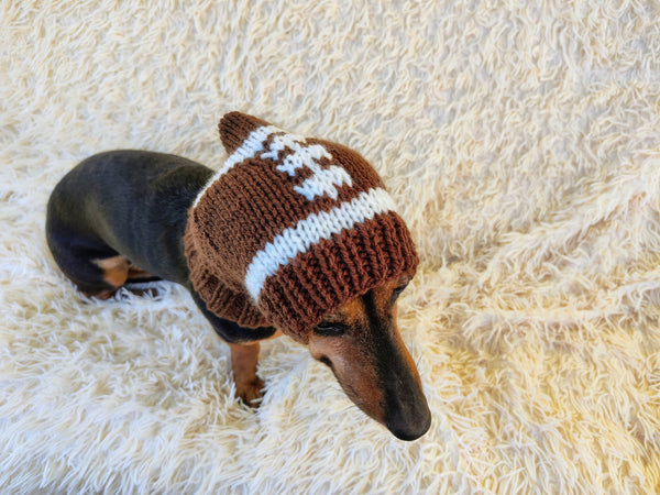 Football hat for dog