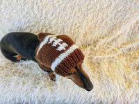 Football hat for dog
