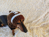 Football hat for dog