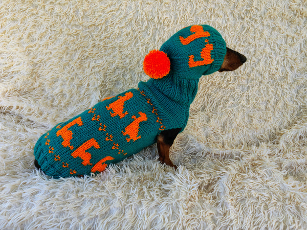 Dinosaur Costume for Dog Jumper and Pompom Hat Set