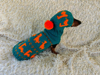Dinosaur Costume for Dog Jumper and Pompom Hat Set