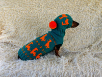 Dinosaur Costume for Dog Jumper and Pompom Hat Set