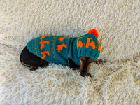 Dinosaur Costume for Dog Jumper and Pompom Hat Set