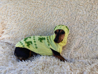 Dinosaur Costume for Dog Jumper and Pompom Hat Set