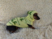Dinosaur Costume for Dog Jumper and Pompom Hat Set