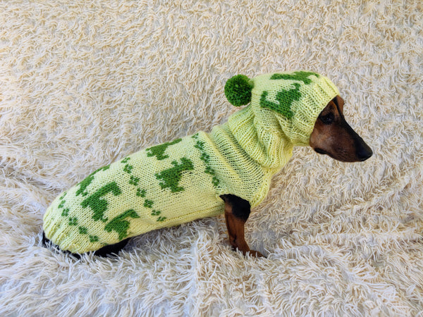 Dinosaur Costume for Dog Jumper and Pompom Hat Set