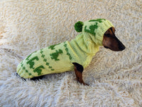 Dinosaur Costume for Dog Jumper and Pompom Hat Set