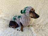 Dinosaur Costume for Dog Jumper and Pompom Hat Set