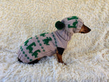 Dinosaur Costume for Dog Jumper and Pompom Hat Set