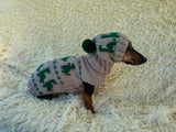 Dinosaur Costume for Dog Jumper and Pompom Hat Set