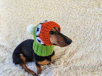 10 color Rainbow dog hat with sheep and pompom