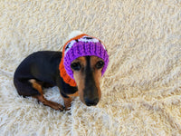 10 color Rainbow dog hat with sheep and pompom
