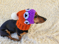 10 color Rainbow dog hat with sheep and pompom
