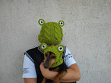 Frog Mommy and Dog Matching Hats:Halloween Pet hat Lover Set