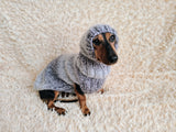 Mohair Dog Sweater and Hat Set: Warm Winter Dachshund Suit