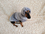 Mohair Dog Sweater and Hat Set: Warm Winter Dachshund Suit