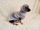 Mohair Dog Sweater and Hat Set: Warm Winter Dachshund Suit