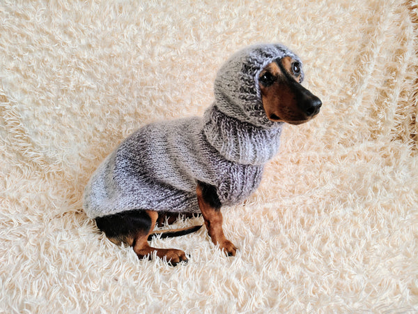 Mohair Dog Sweater and Hat Set: Warm Winter Dachshund Suit