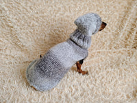 Mohair Dog Sweater and Hat Set: Warm Winter Dachshund Suit