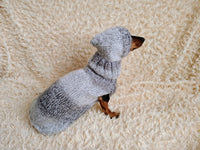 Mohair Dog Sweater and Hat Set: Warm Winter Dachshund Suit