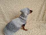 Mohair Dog Sweater and Hat Set: Warm Winter Dachshund Suit