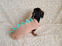 Dachshund Halloween Dinosaur Outfit Costume Sweater and Hat-dino pet cloches jamper