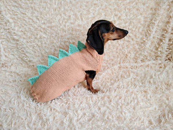 Dachshund Halloween Dinosaur Outfit Costume Sweater and Hat-dino pet cloches jamper