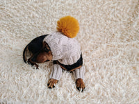 Alpaca Wool Dog Leggings and Hat Set