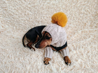 Alpaca Wool Dog Leggings and Hat Set