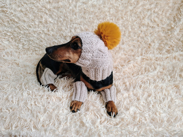 Alpaca Wool Dog Leggings and Hat Set