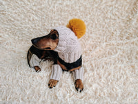 Alpaca Wool Dog Leggings and Hat Set
