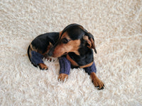 Alpaca Wool Dog Leg Warmers: Set of 4 Pet Gaiters