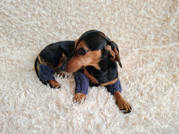 Alpaca Wool Dog Leg Warmers: Set of 4 Pet Gaiters